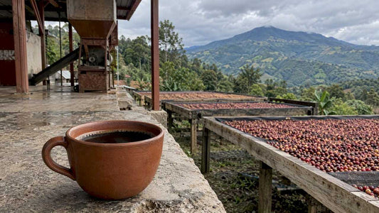What Does Costa Rican Coffee Taste Like? - The J Coffee Collection